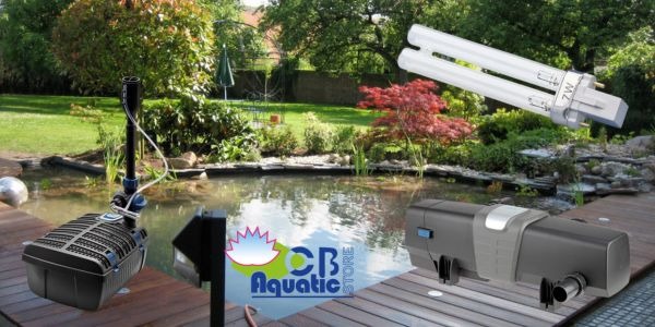 ? Tout savoir sur le système UVC pour bassin