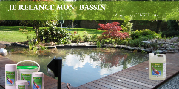 Je relance mon bassin : Comprendre et Ajuster GH, KH , PH  et bactéries