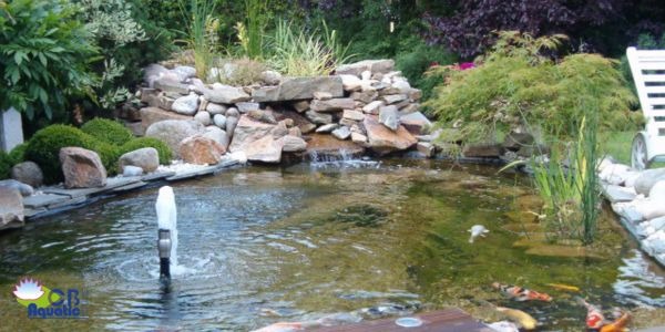 Bassin et poissons : comment bien préparer l'hivernage ?