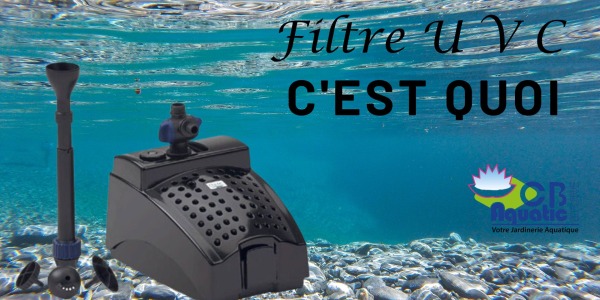 Tout ce que vous devez savoir sur les filtres UVC pour votre étang naturel ou piscine écologique