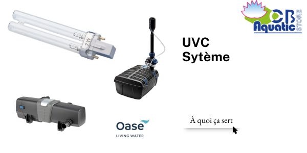 ? Tout savoir sur le système UVC pour bassin