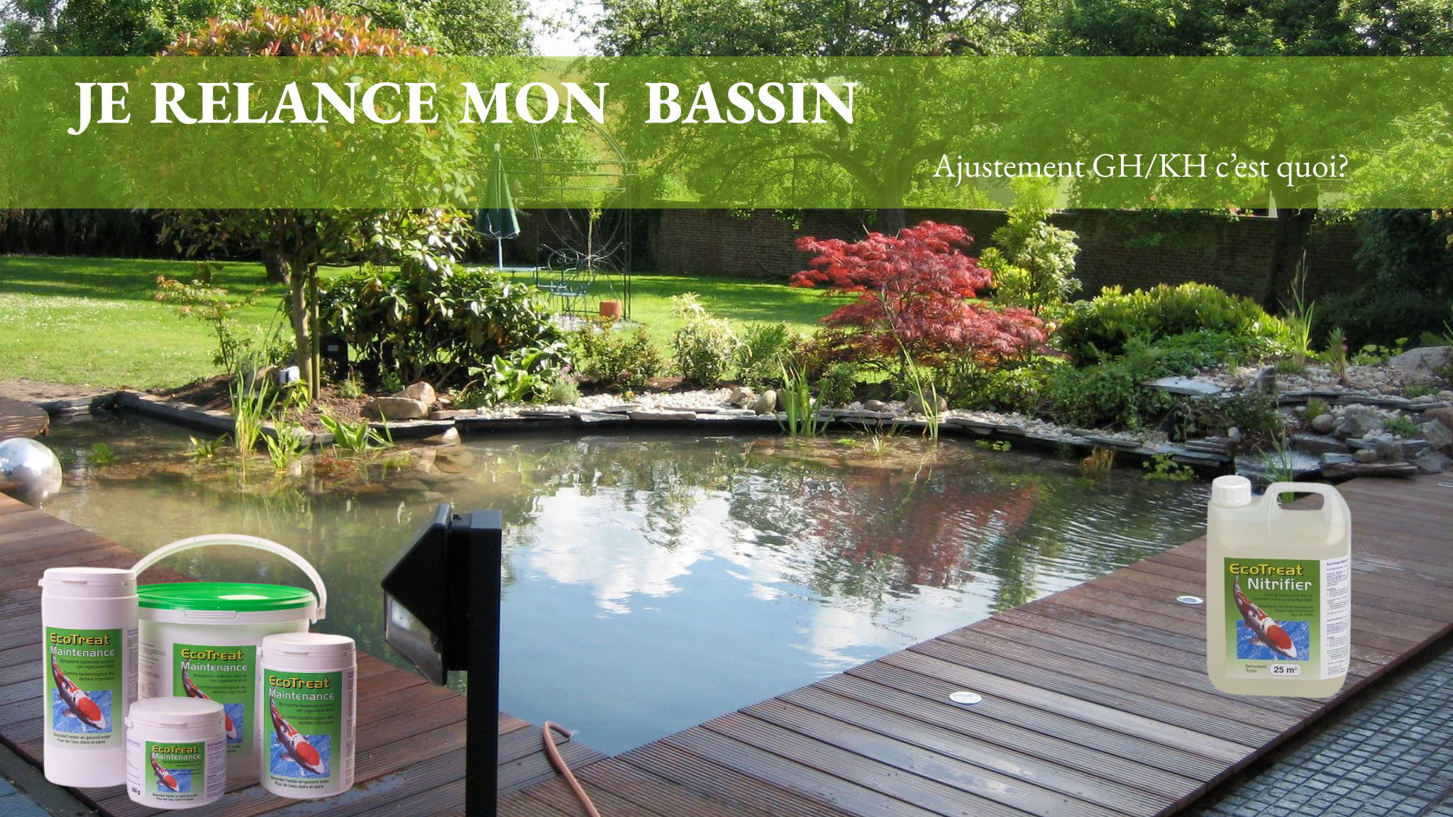 Je relance mon bassin : Comprendre et Ajuster GH, KH , PH  et bactéries
