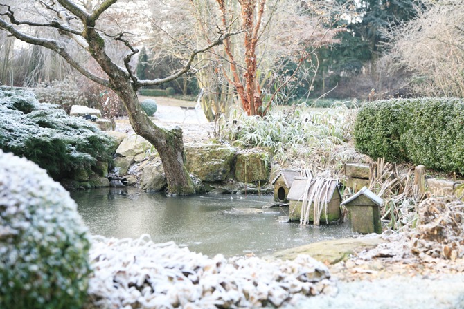 Préparez votre étang ou votre piscine écologique pour l'hiver